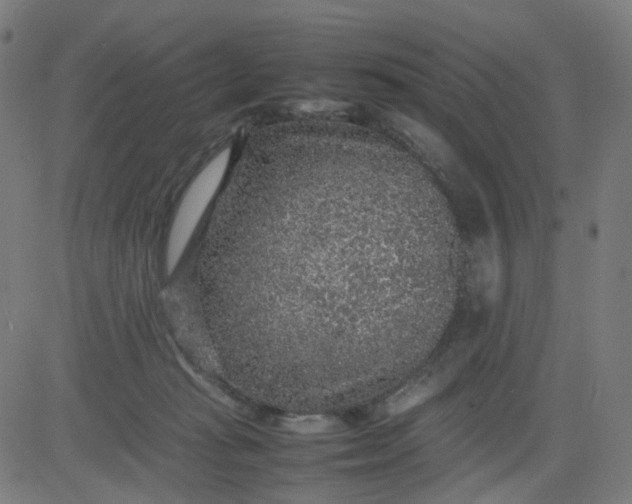 X0000082740269200702091911