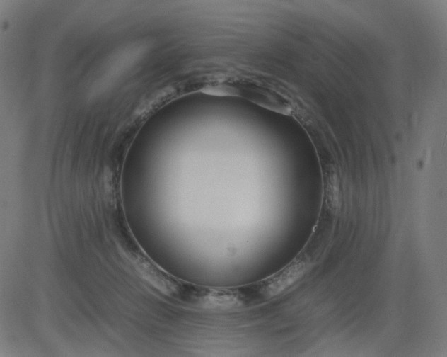 X0000082740270200702091911