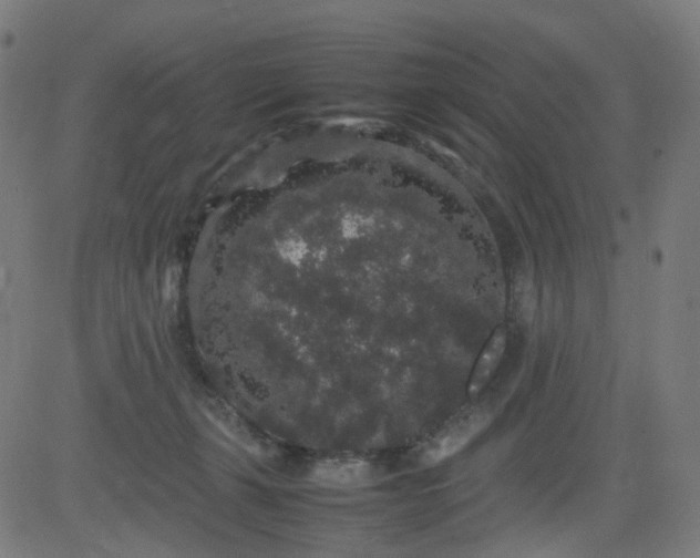 X0000082740271200702091911