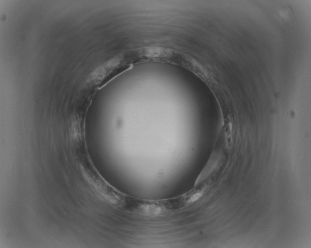 X0000082740272200702091911