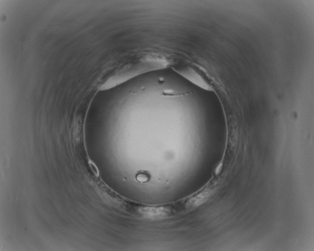 X0000082740273200702091911