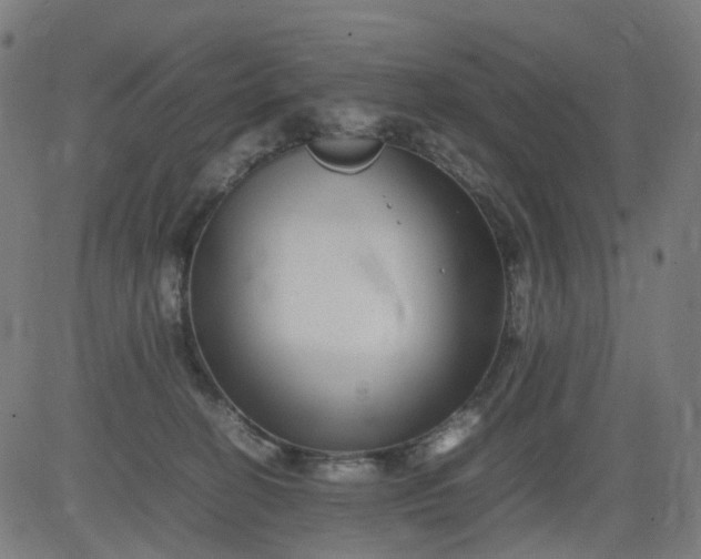 X0000082740274200702091911