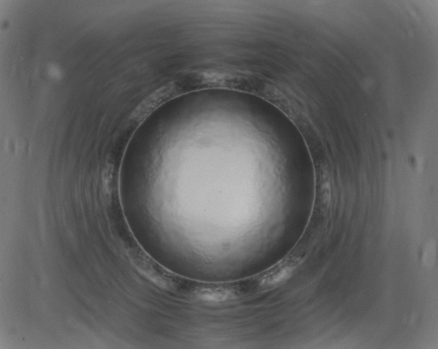 X0000082740275200702091911