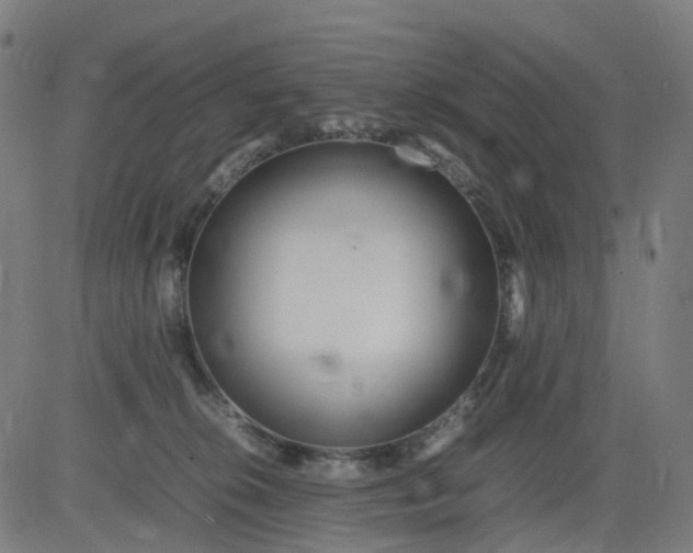 X0000082740276200702091911