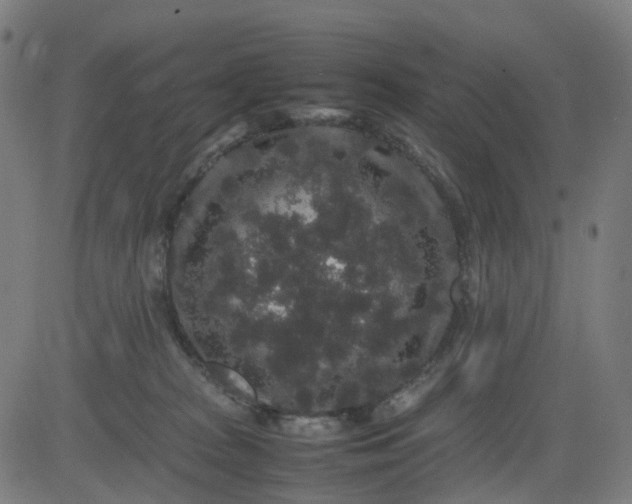 X0000082740277200702091911