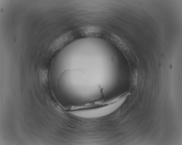 X0000082740278200702091911