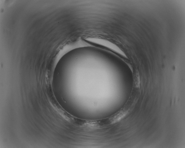 X0000082740280200702091911