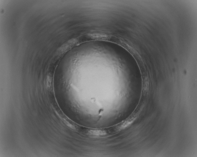 X0000082740281200702091911