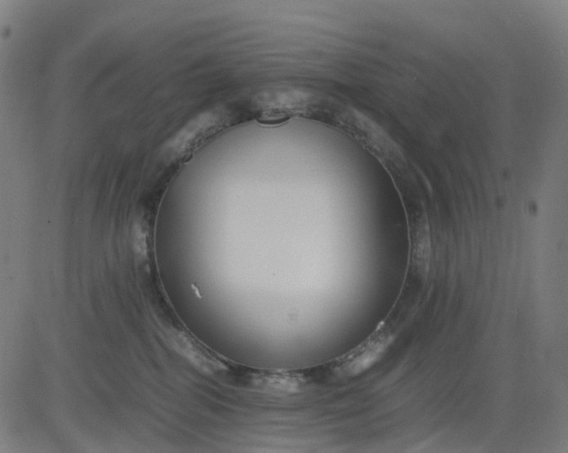 X0000082740282200702091911