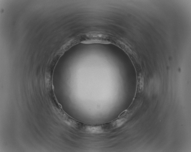 X0000082740283200702091911