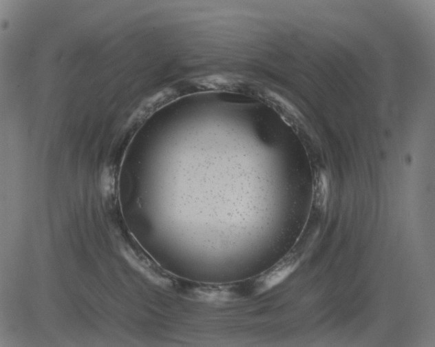 X0000082740284200702091911