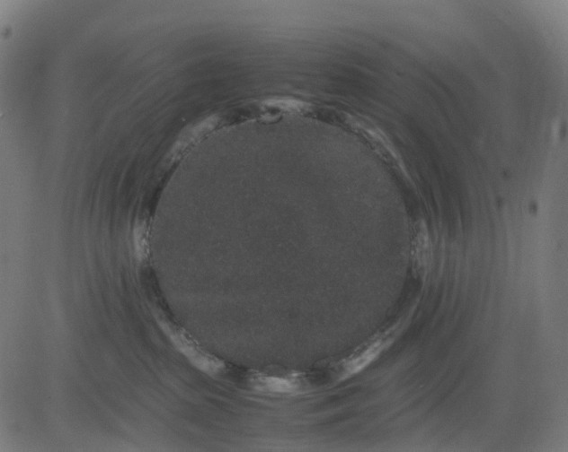 X0000082740285200702091911