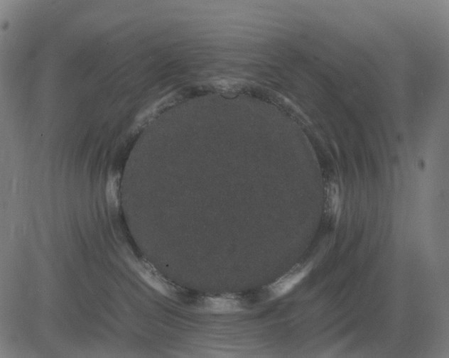 X0000082740286200702091911