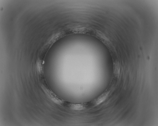 X0000082740287200702091911