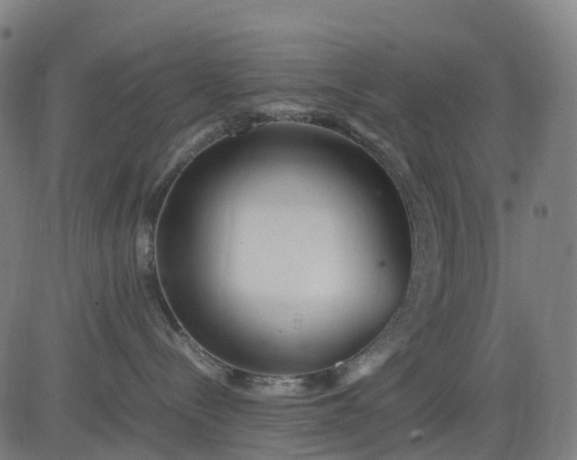 X0000082740288200702091911