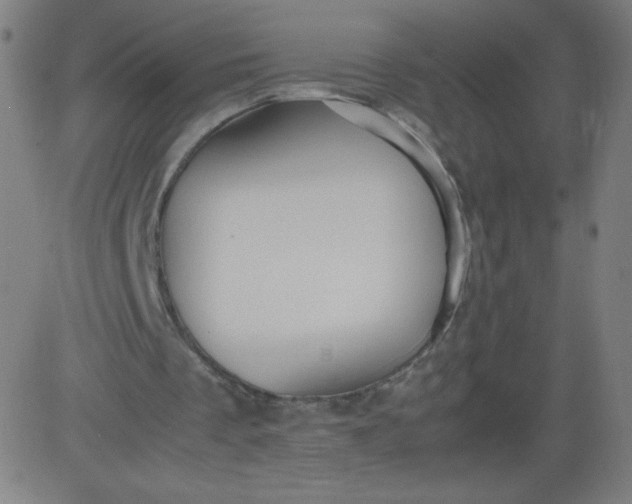 X0000082740289200702091910