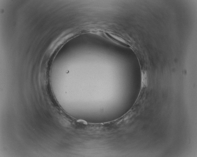 X0000082740291200702091910