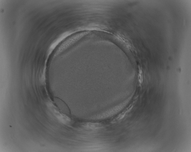 X0000082740292200702091910