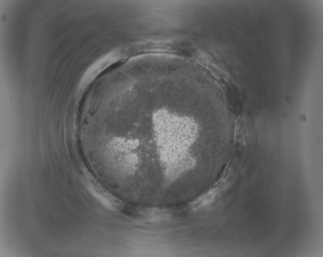 X0000082740293200702091910