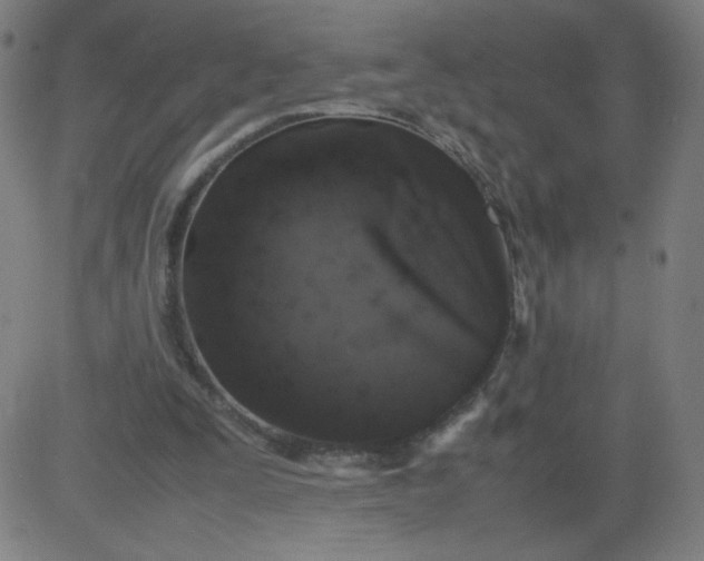 X0000082740295200702091910