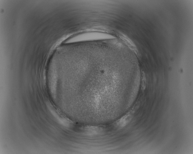 X0000082740298200702091910