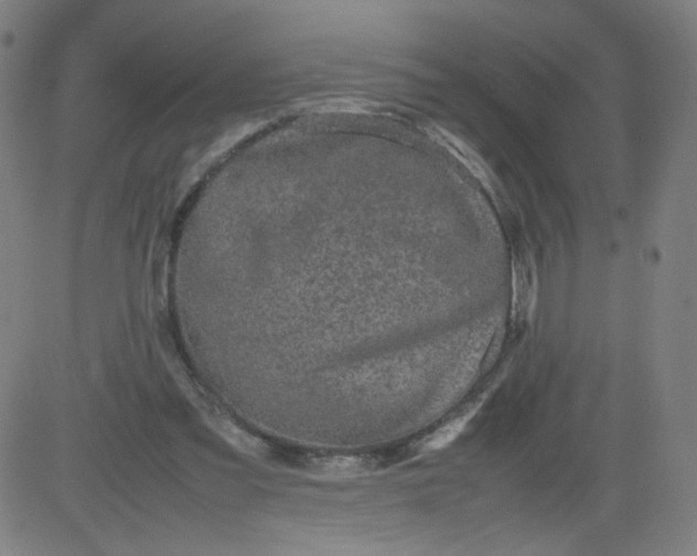 X0000082740301200702091910