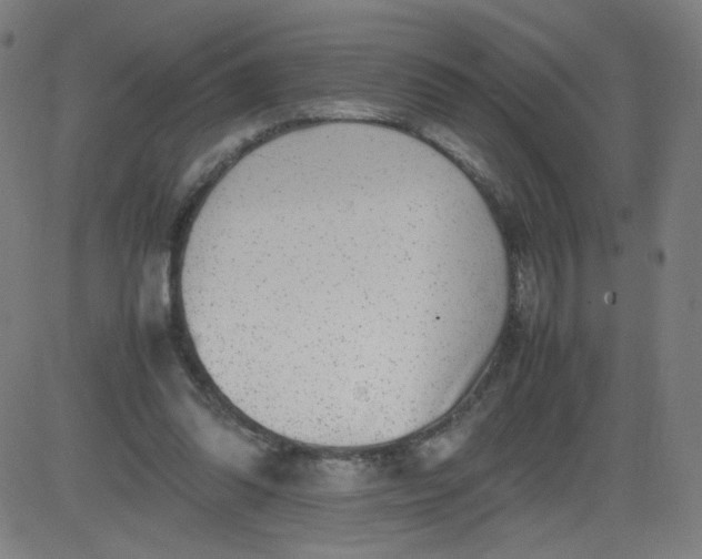 X0000082740302200702091910