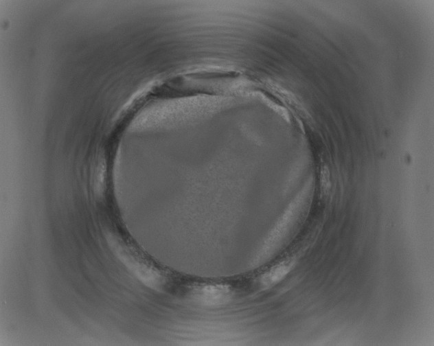 X0000082740304200702091910