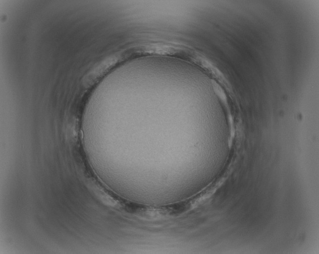 X0000082740305200702091910