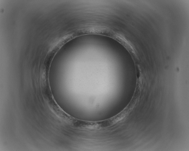 X0000082740306200702091910