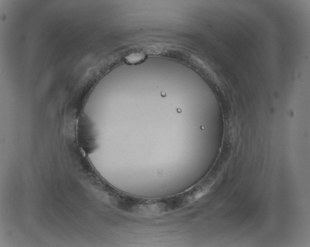 X0000082740307200702091910