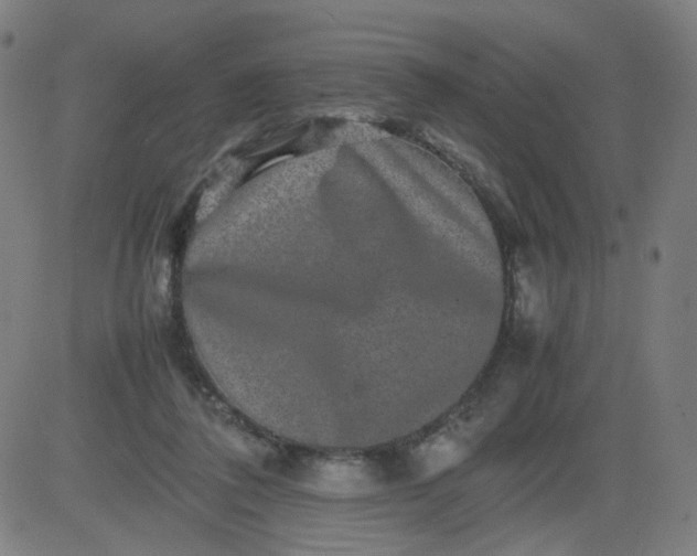 X0000082740308200702091910