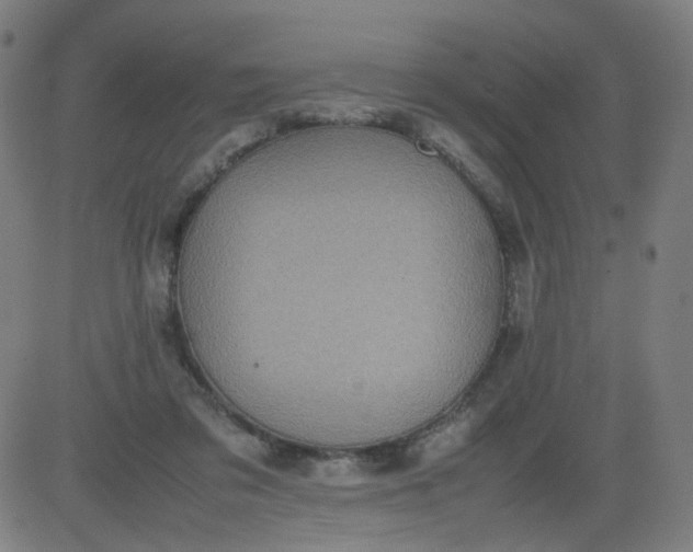 X0000082740309200702091910