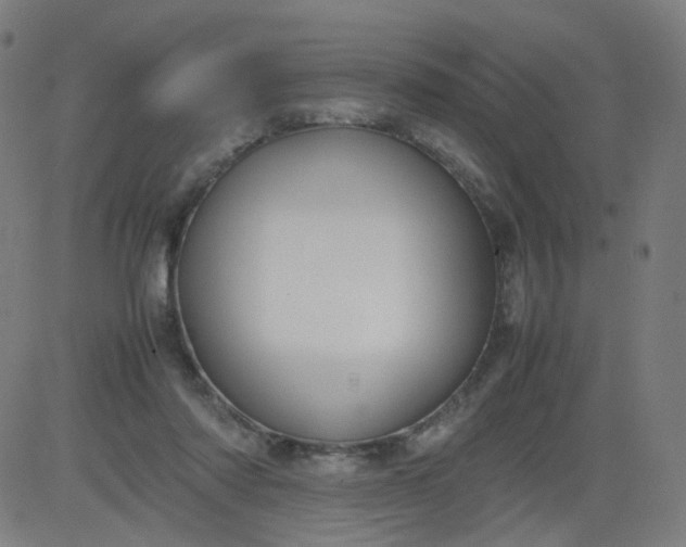 X0000082740310200702091910