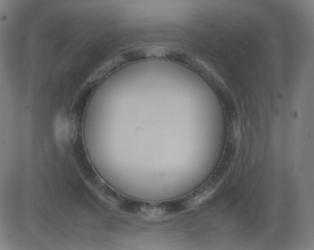 X0000082740311200702091910