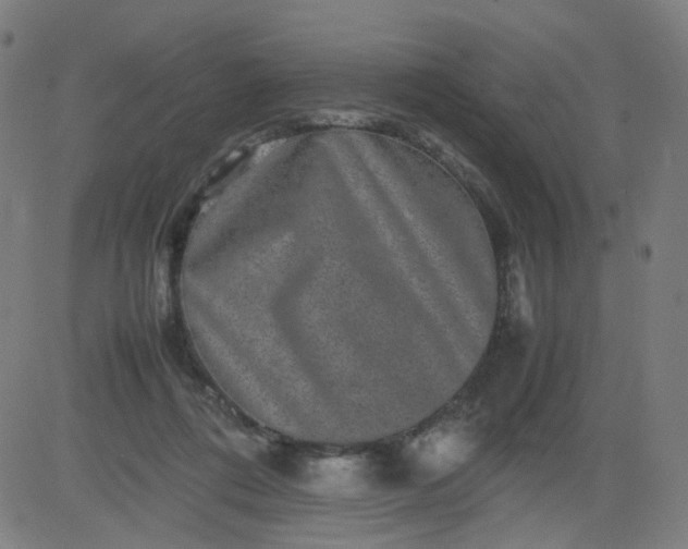 X0000082740312200702091910