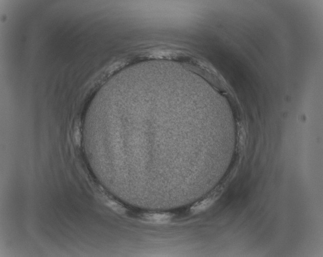 X0000082740313200702091910