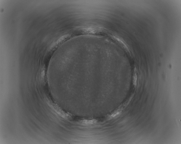 X0000082740314200702091910