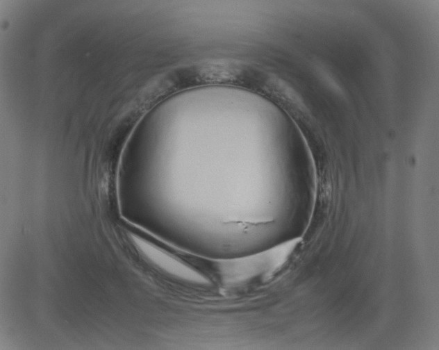 X0000082740315200702091910