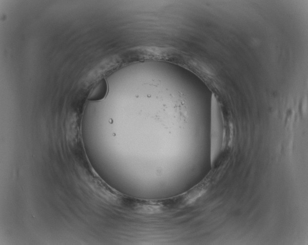 X0000082740318200702091910