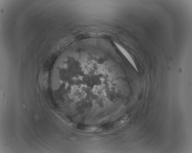 X0000082740319200702091910