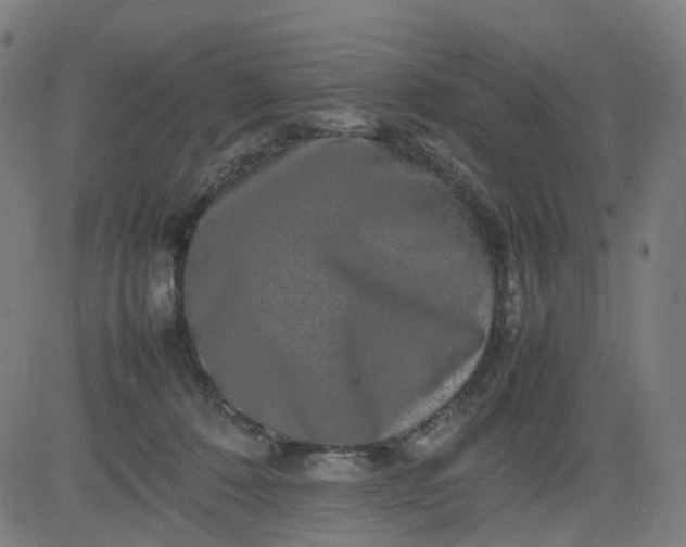 X0000082740320200702091910