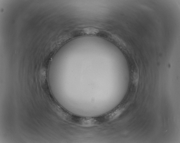 X0000082740321200702091910