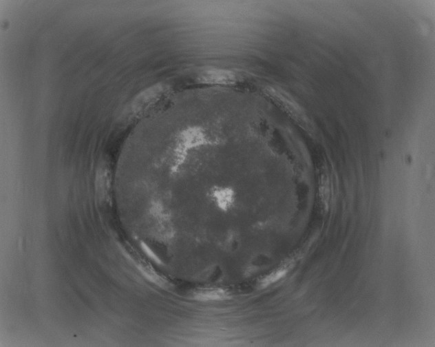 X0000082740322200702091910