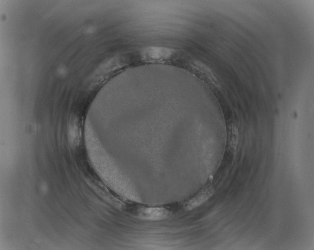 X0000082740324200702091910