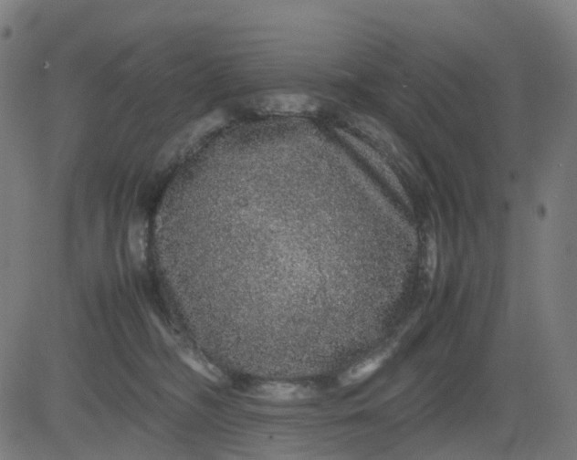 X0000082740326200702091910