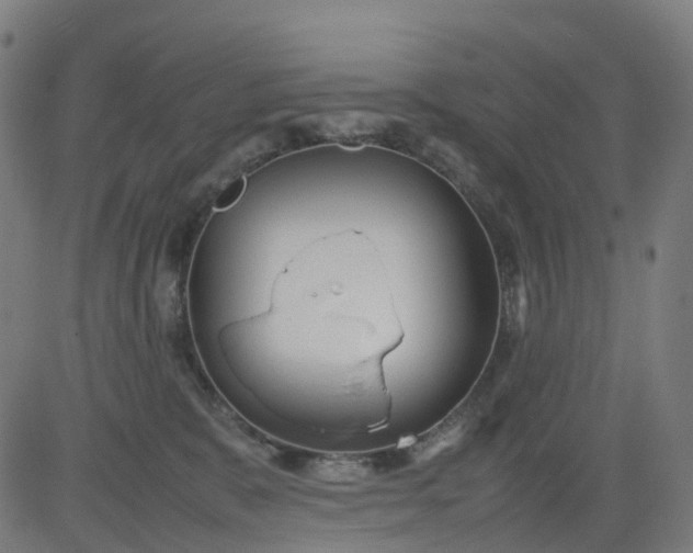 X0000082740327200702091909