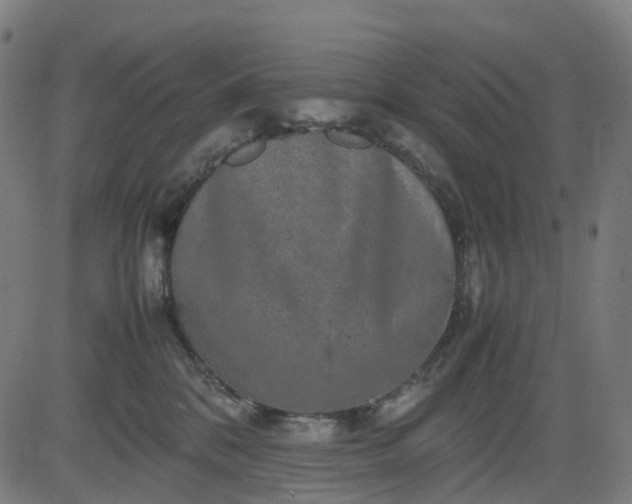 X0000082740328200702091909