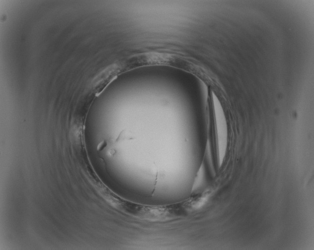 X0000082740329200702091909