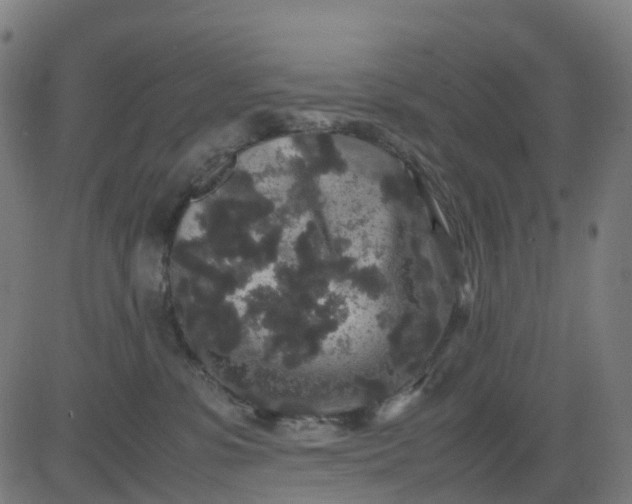 X0000082740331200702091909